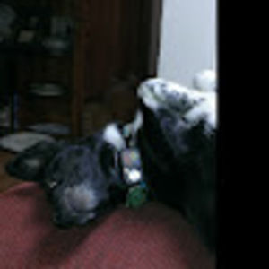 Meet your Posher, Mike